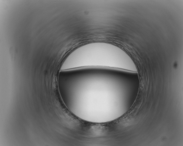 X0000091080470200708061049