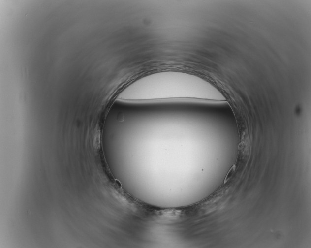 X0000091080474200708061049