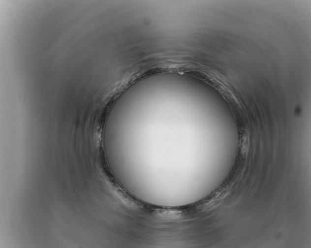 X0000091080476200708061049