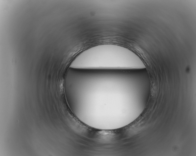 X0000091080477200708061049
