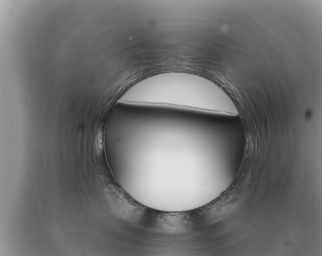 X0000091080479200708061049
