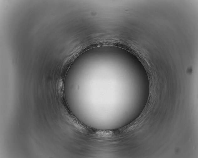 X0000091080480200708061049