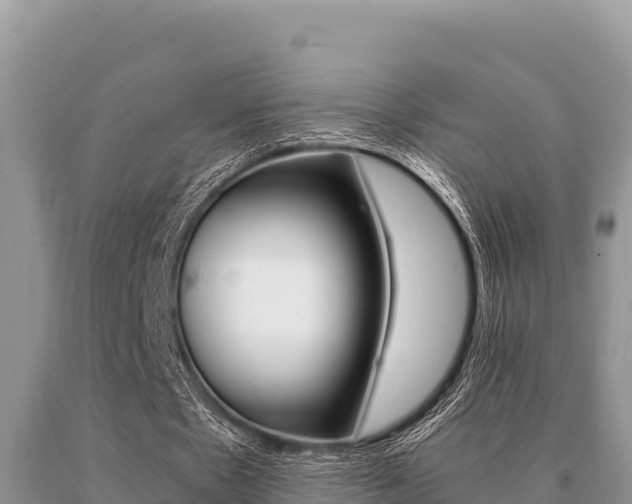 X0000091080481200708061049