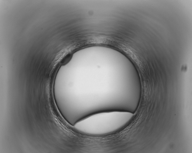 X0000091080482200708061049