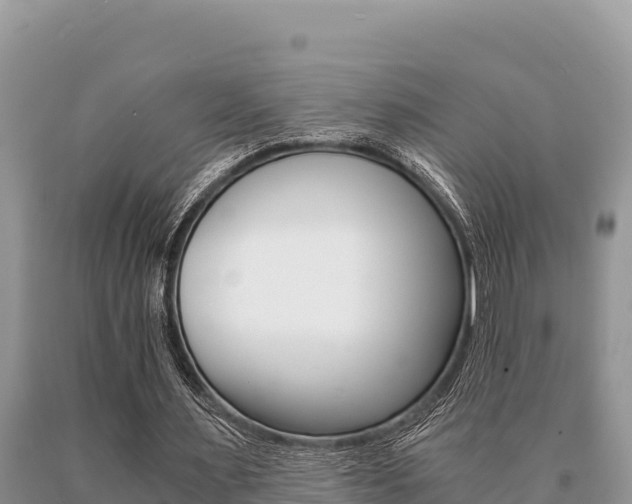 X0000091080483200708061049