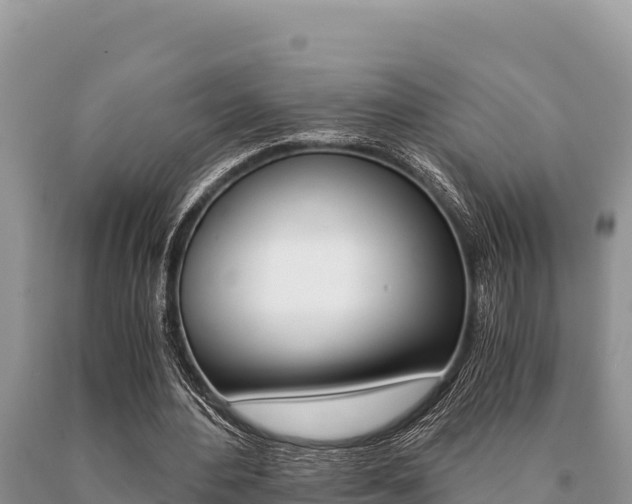 X0000091080484200708061049