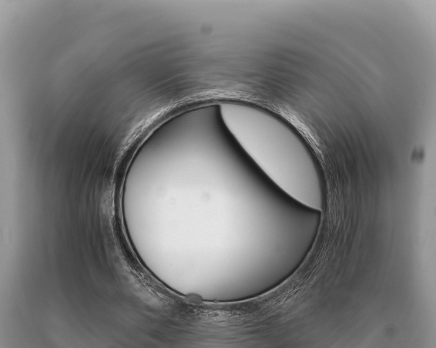 X0000091080486200708061049