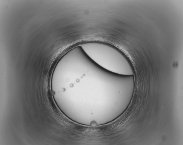 X0000091080487200708061049