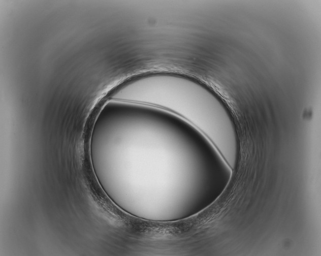 X0000091080488200708061049
