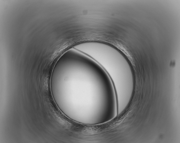 X0000091080489200708061049