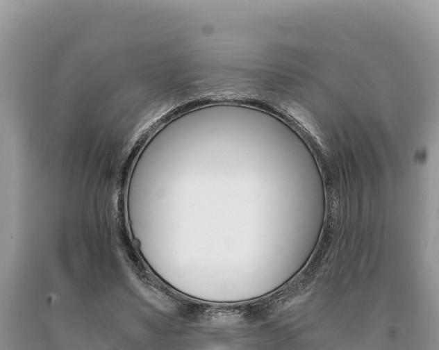 X0000091080491200708061049