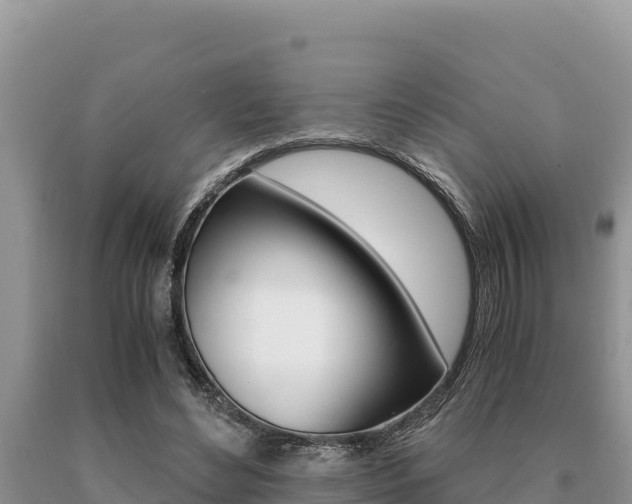 X0000091080492200708061049