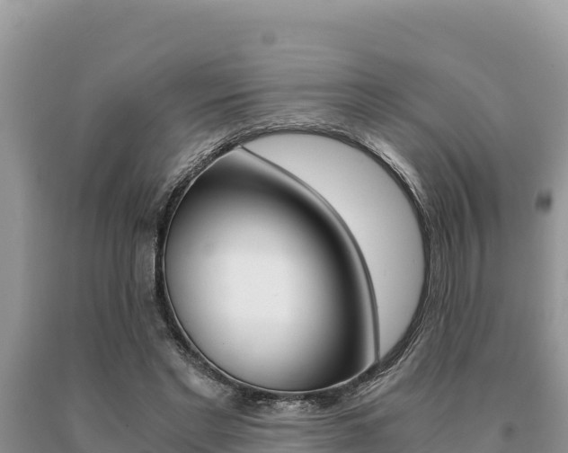 X0000091080493200708061049