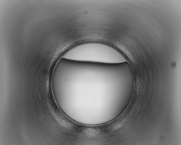 X0000091080494200708061049