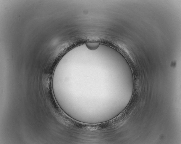 X0000091080495200708061049