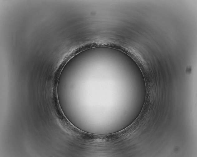 X0000091080496200708061049