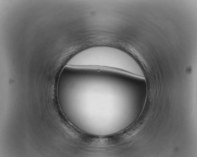 X0000091080497200708061049