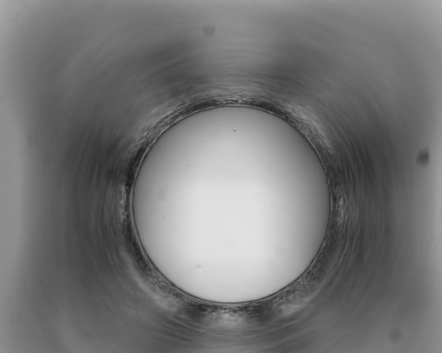 X0000091080498200708061049