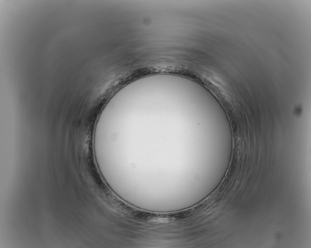 X0000091080499200708061049