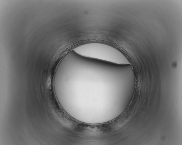 X0000091080502200708061048