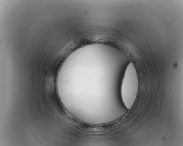 X0000091080506200708061048