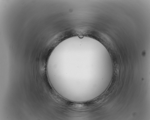 X0000091080507200708061048