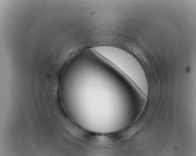 X0000091080509200708061048