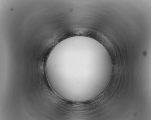 X0000091080510200708061048