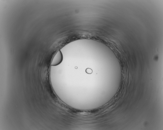 X0000091080511200708061048