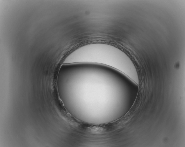 X0000091080512200708061048