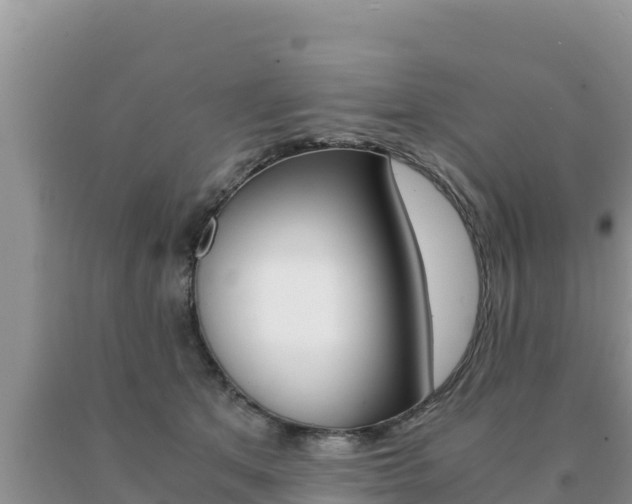 X0000091080513200708061048