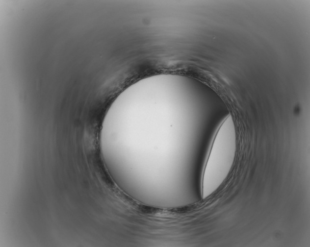 X0000091080515200708061048