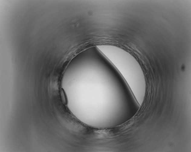 X0000091080516200708061048