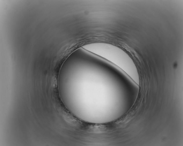 X0000091080517200708061048