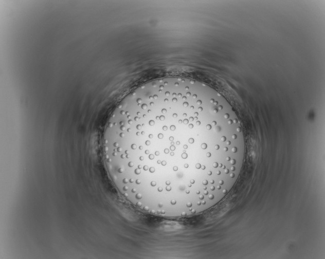 X0000091080519200708061048