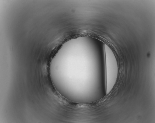 X0000091080520200708061048