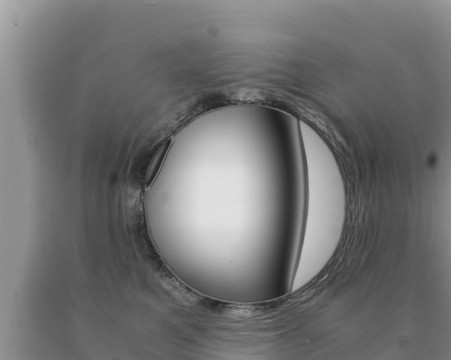 X0000091080521200708061048