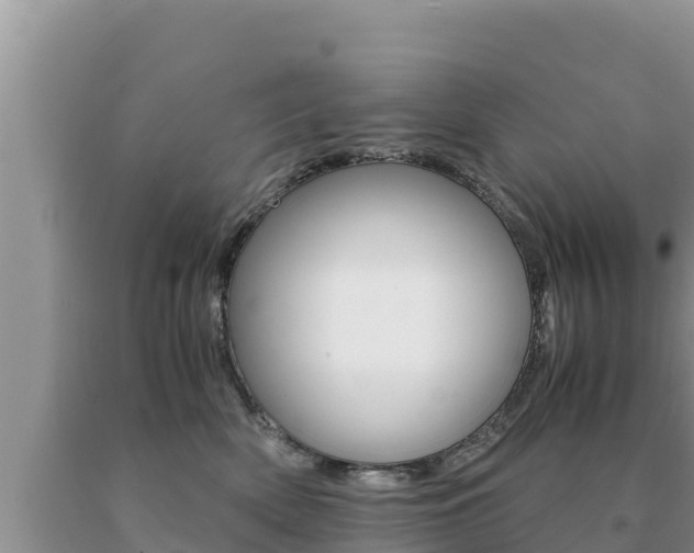 X0000091080522200708061048