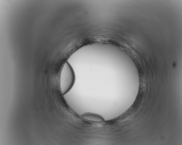 X0000091080523200708061048