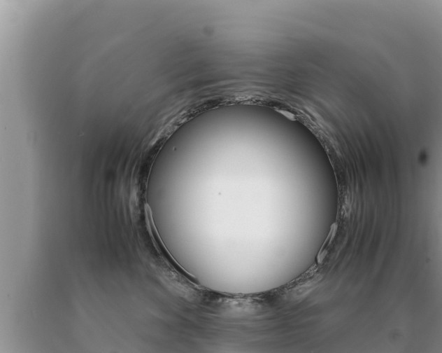 X0000091080524200708061048