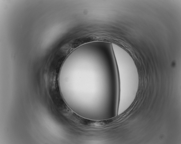 X0000091080525200708061048