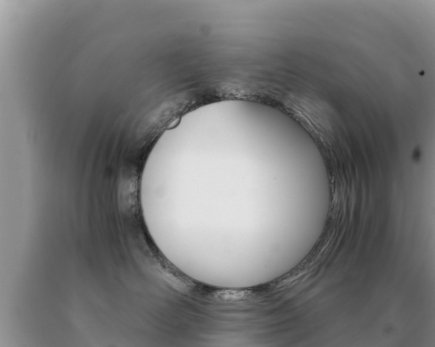 X0000091080526200708061048