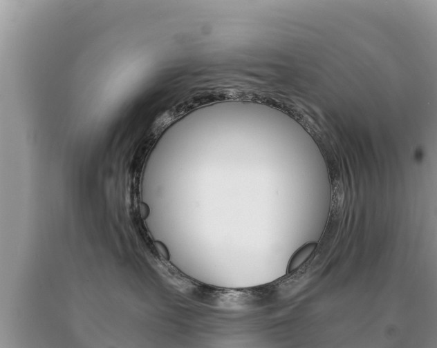 X0000091080527200708061048
