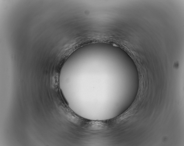 X0000091080528200708061048