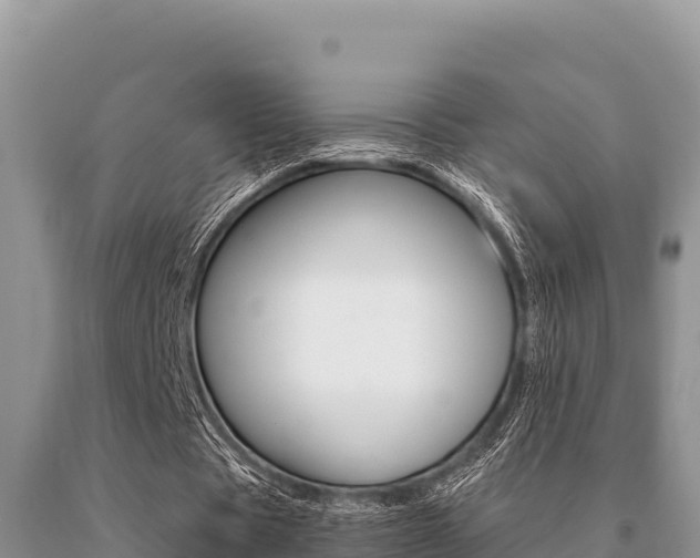 X0000091080529200708061047