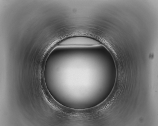 X0000091080530200708061047