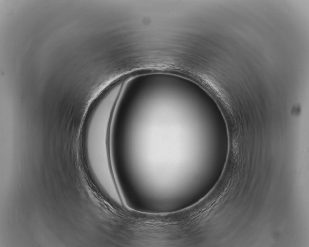 X0000091080532200708061047