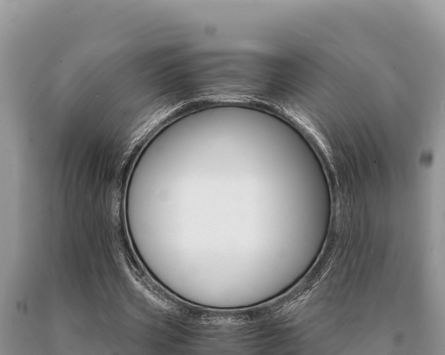 X0000091080533200708061048