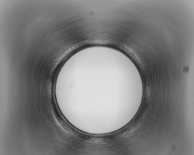 X0000091080534200708061048