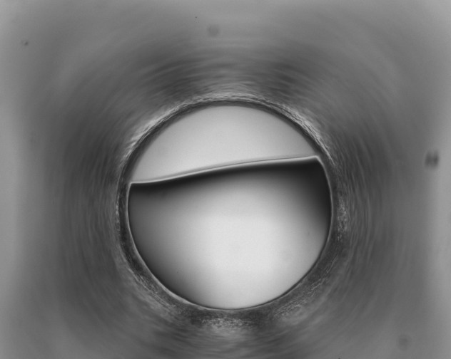 X0000091080535200708061048